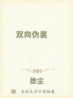 雙向偽裝