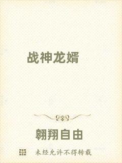 戰(zhàn)神龍婿