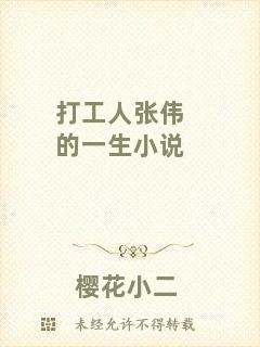 打工人張偉的一生小說