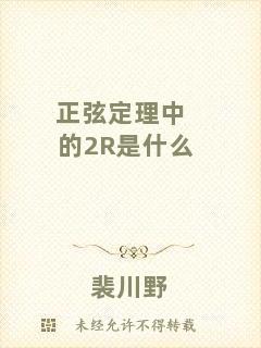 正弦定理中的2R是什么