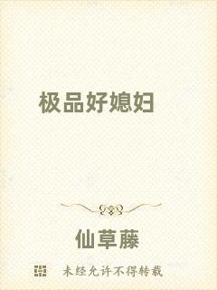 極品好媳婦