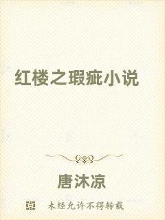 紅樓之瑕疵小說