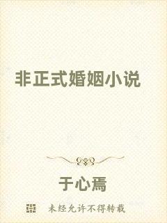 非正式婚姻小說