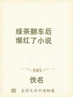 綠茶翻車后爆紅了小說