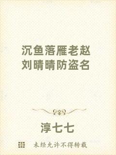 沉魚落雁老趙劉晴晴防盜名