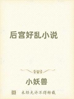 后宮好亂小說